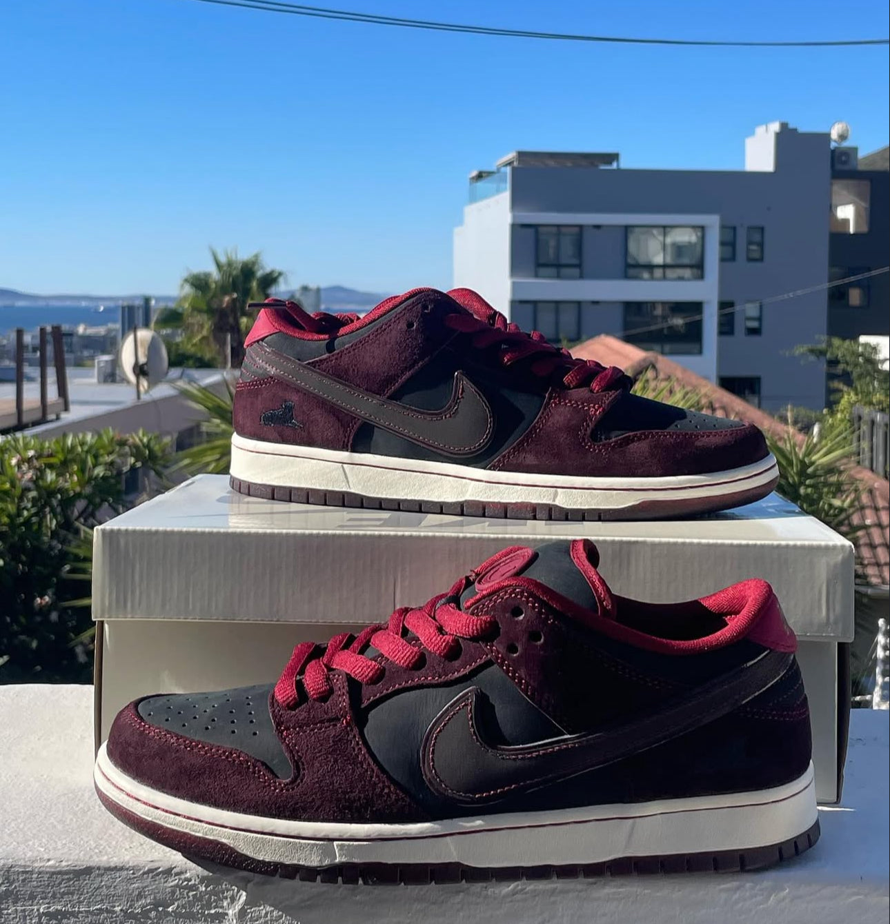 NIKE SB RIOT