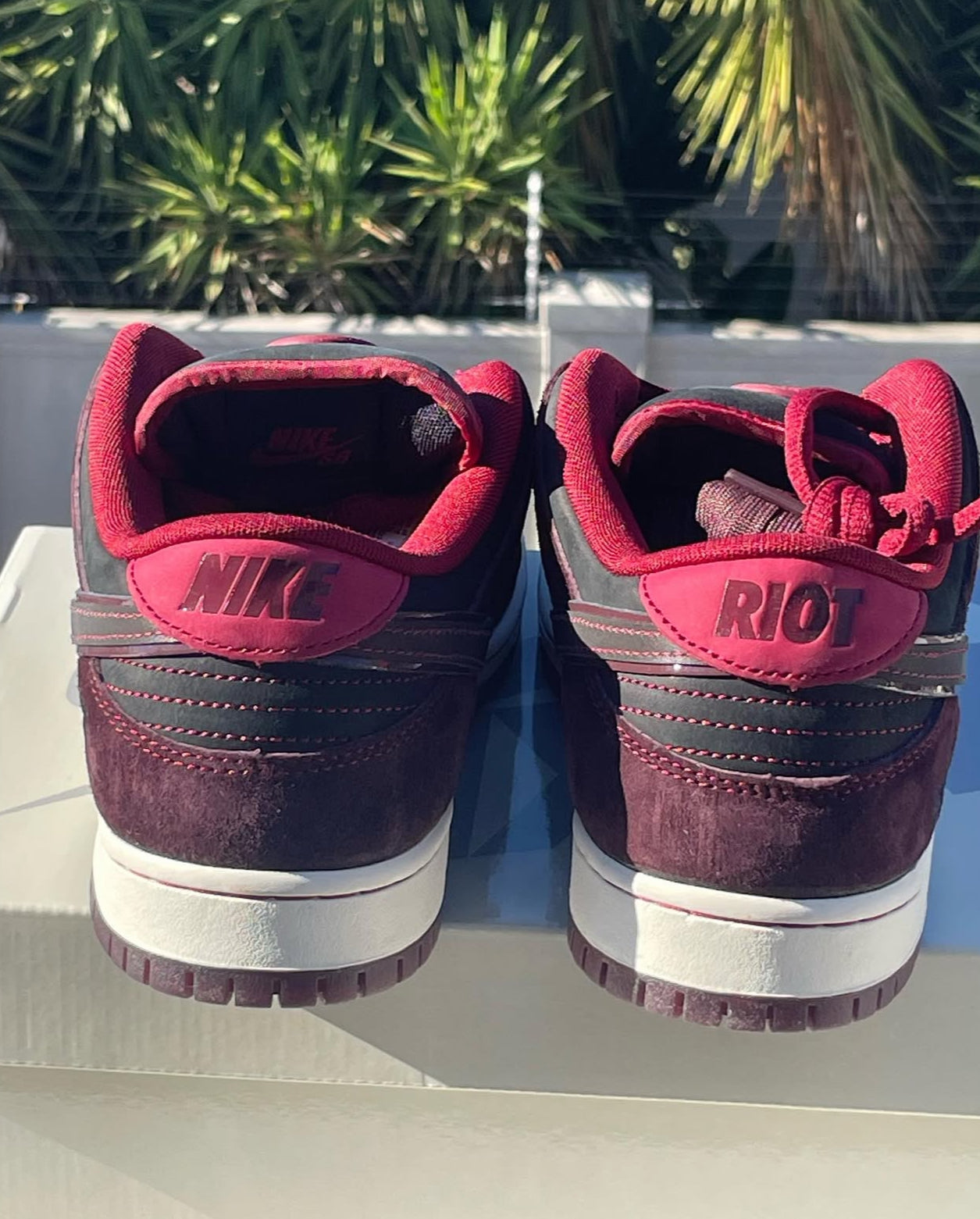 NIKE SB RIOT